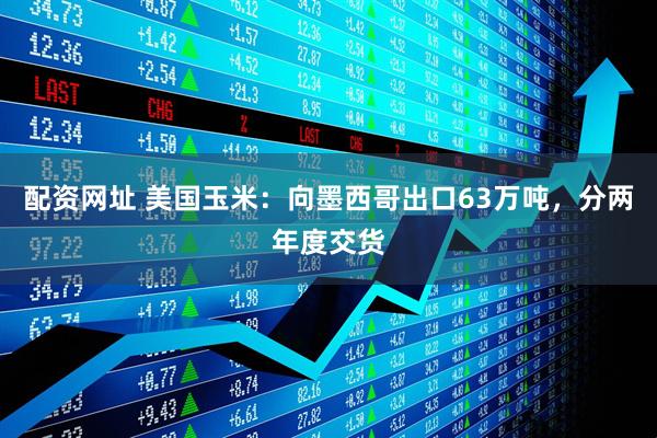 配资网址 美国玉米：向墨西哥出口63万吨，分两年度交货
