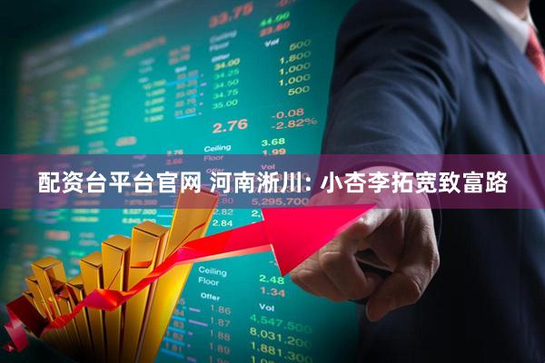 配资台平台官网 河南淅川: 小杏李拓宽致富路